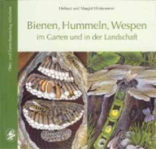 Kniha Bienen, Hummeln, Wespen im Garten und in der Landschaft Helmut Hintermeier