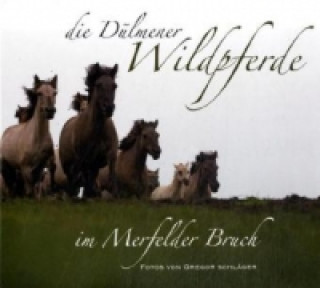 Könyv Die Dülmener Wildpferde im Merfelder Bruch Jörg Gierse