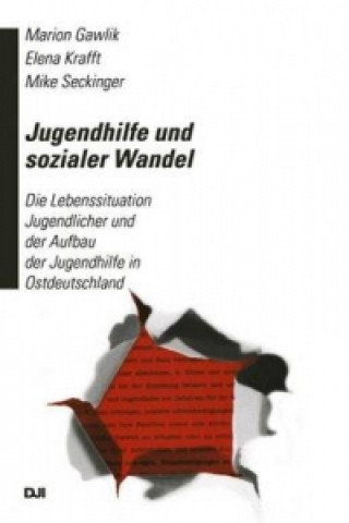 Книга Jugendhilfe und sozialer Wandel Marion Gawlik