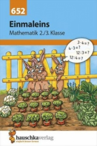 Knjiga Mathe 2./3. Klasse Übungsheft - Einmaleins Brigitte Schreiber