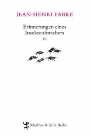 Kniha Erinnerungen eines Insektenforschers. Bd.6 Jean-Henri Fabre