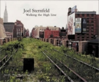 Kniha Walking the High Line Joel Sternfeld