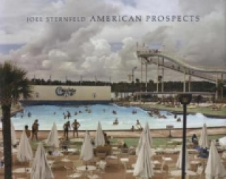 Kniha American Prospects Joel Sternfeld