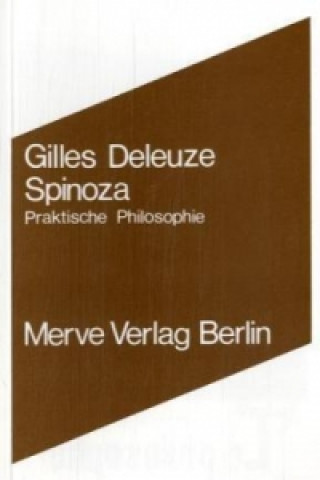 Buch Spinoza Gilles Deleuze