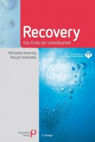 Kniha Recovery Michaela Amering