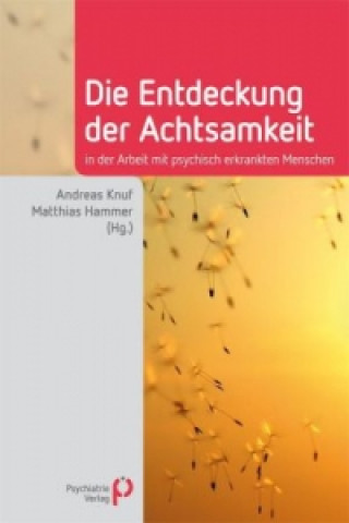 Könyv Die Entdeckung der Achtsamkeit Andreas Knuf