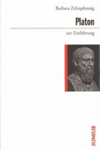 Kniha Platon zur Einführung Barbara Zehnpfennig