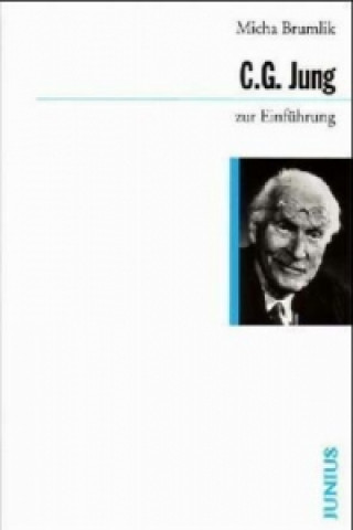 Kniha C. G. Jung zur Einführung Michael Brumlik