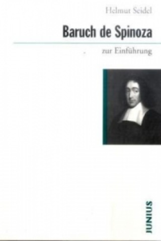 Könyv Baruch de Spinoza zur Einführung Helmut Seidel