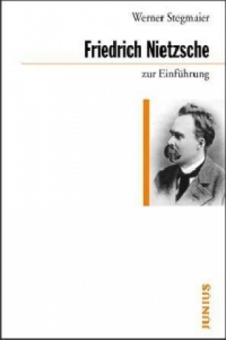 Carte Friedrich Nietzsche zur Einführung Werner Stegmaier