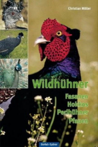 Könyv Wildhühner Christian Möller
