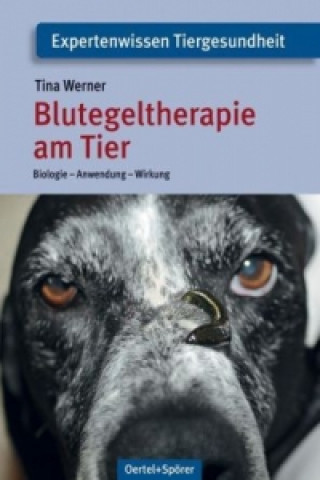 Könyv Blutegeltherapie am Tier Tina Werner