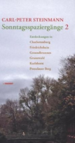 Carte Sonntagsspaziergänge. Bd.2 Carl-Peter Steinmann