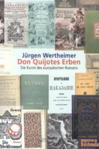Kniha Don Quijotes Erben Jürgen Wertheimer