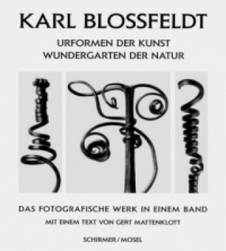 Carte Urformen der Kunst, Wundergarten der Natur. Arts forms in Nature, dtsch. Ausg. Karl Blossfeldt