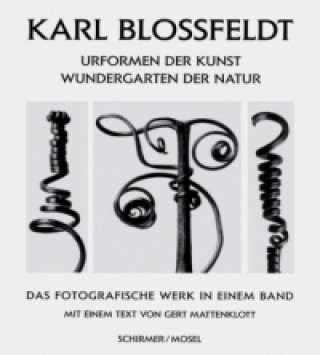 Kniha Urformen der Kunst, Wundergarten der Natur. Arts forms in Nature, dtsch. Ausg. Karl Blossfeldt