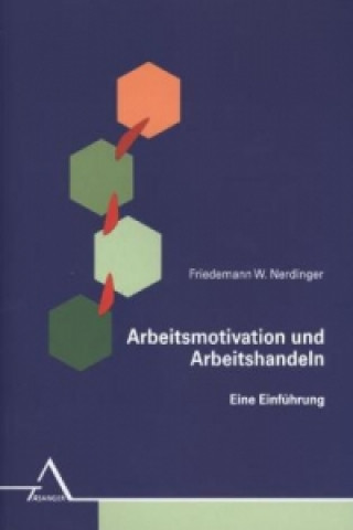 Kniha Arbeitsmotivation und Arbeitshandeln Friedemann W. Nerdinger