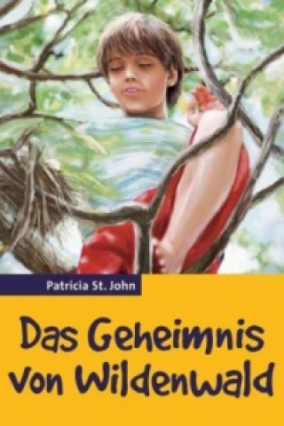 Könyv Das Geheimnis von Wildenwald Patricia Saint John