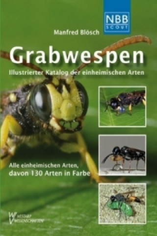 Kniha Grabwespen Manfred Blösch