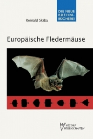Carte Europäische Fledermäuse Reinald Skiba