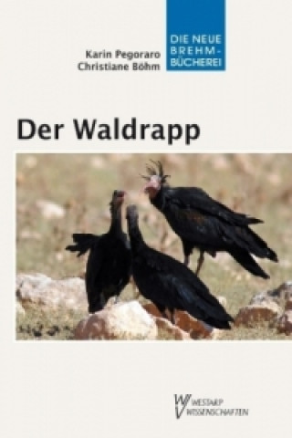 Buch Der Waldrapp Karin Pegoraro