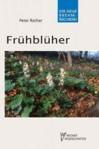 Kniha Frühblüher Peter Rüther