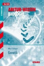 Carte STARK Abitur-Wissen - Biologie - Genetik Albert Kollmann
