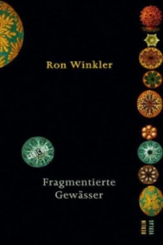 Книга Fragmentierte Gewässer Ron Winkler