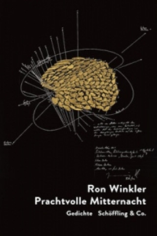 Kniha Prachtvolle Mitternacht Ron Winkler
