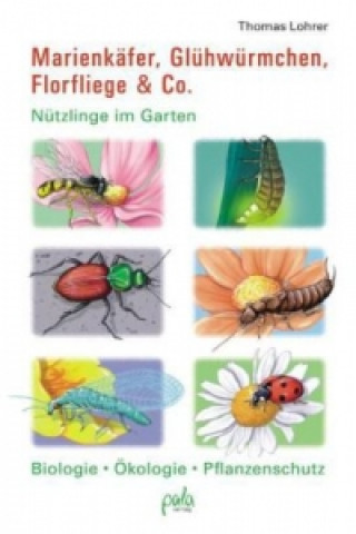 Könyv Marienkäfer, Glühwürmchen, Florfliege & Co. Thomas Lohrer