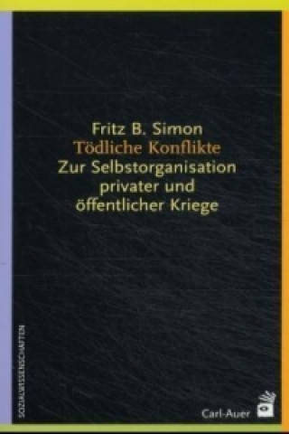 Carte Tödliche Konflikte Fritz B. Simon