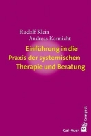 Kniha Einführung in die Praxis der systemischen Therapie und Beratung Rudolf Klein