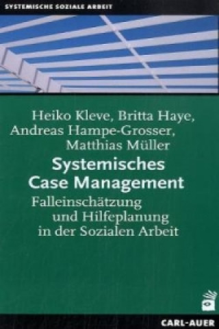 Buch Systemisches Case Management Heiko Kleve