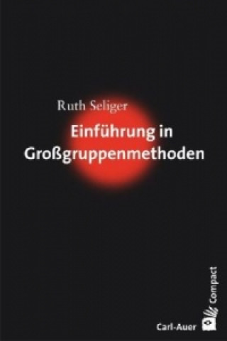 Kniha Einführung in Großgruppenmethoden Ruth Seliger