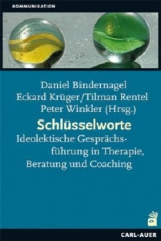 Kniha Schlüsselworte Daniel Bindernagel