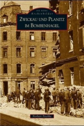 Kniha Zwickau und Planitz im Bombenhagel Norbert Peschke