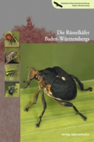 Книга Die Rüsselkäfer Baden-Württembergs Joachim Rheinheimer