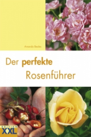 Kniha Der perfekte Rosenführer Amanda Beales