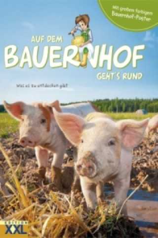 Książka Auf dem Bauernhof geht's rund - mit großem farbigem Bauernhof-Poster, m. 1 Beilage 