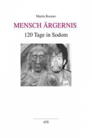 Book Mensch Ärgernis Martin Roemer