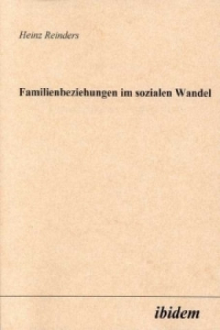 Kniha Familienbeziehungen im sozialen Wandel Heinz Reinders