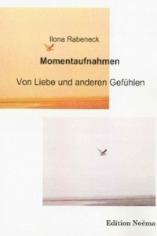 Kniha Momentaufnahmen - Von Liebe und anderen Gefühlen Ilona Rabeneck