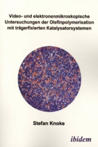 Carte Video- und elektronenmikroskopische Untersuchungen der Olefinpolymerisation mit trägerfixierten Katalysatorsystemen Stefan Knoke