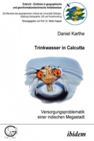 Książka Trinkwasser in Calcutta Daniel Karthe