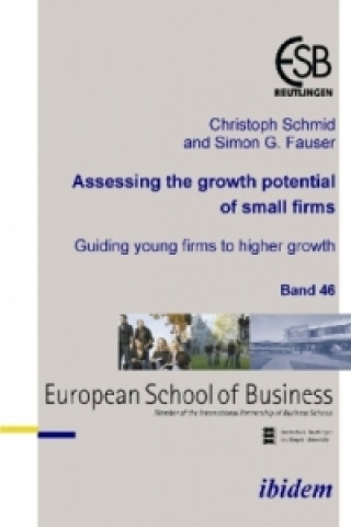 Könyv Assessing the growth potential of small firms Christoph Schmid