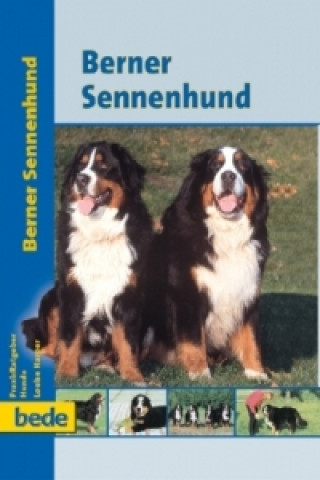 Knjiga Berner Sennenhund Louise Harper