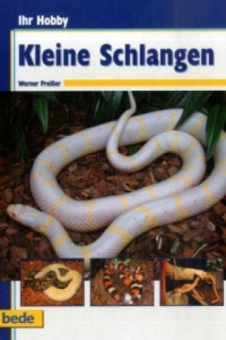 Knjiga Ihr Hobby Kleine Schlangen Werner Preißer