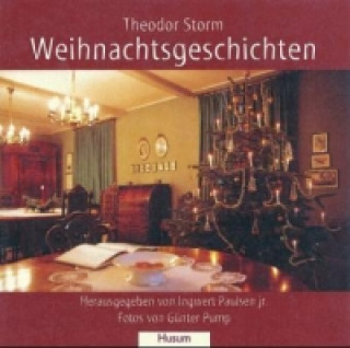 Kniha Weihnachtsgeschichten Theodor Storm