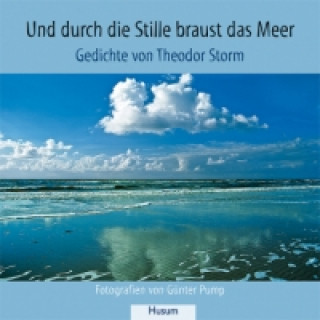 Kniha Und durch die Stille braust das Meer Theodor Storm