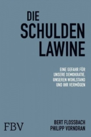 Livre Die Schuldenlawine Bert Flossbach